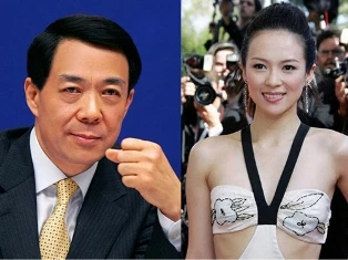 Chương Tử Di ra tòa kiện tin đồn bán dâm cao cấp ảnh 1