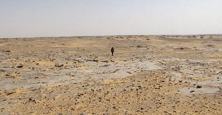 Tìm thấy chiến đấu cơ Thế chiến II trên sa mạc Sahara sau 70 năm ảnh 2