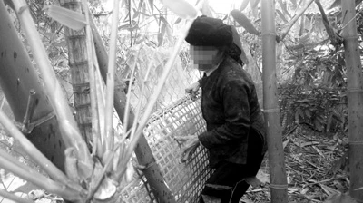 Vụ học sinh lớp 6 dính bầu 7 tháng: Cửa sau oan nghiệt ảnh 1