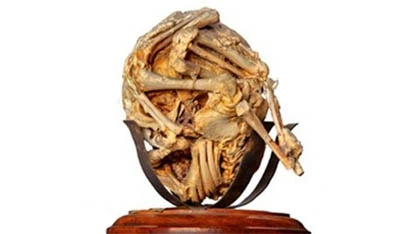 Bảo tàng rùng rợn nhất thế giới ảnh 1