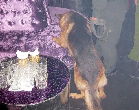 Nhiều vũ trường nổi tiếng ở Sài Gòn bị "sờ gáy" ảnh 2