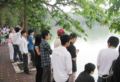 Rùa mai mềm chết ở hồ Hoàn Kiếm không cùng loài với “Cụ Rùa“ ảnh 3 Rùa mai mềm chết ở hồ Hoàn Kiếm không cùng loài với “Cụ Rùa“ ảnh 3