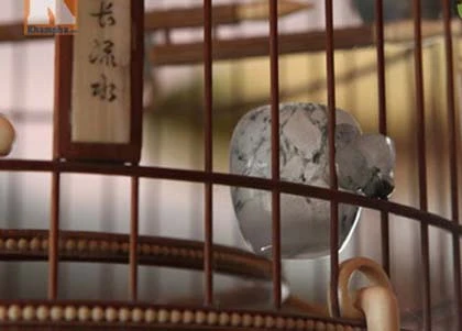 Thú chơi chim, cá cảnh tiền tỷ của đại gia Việt ảnh 2