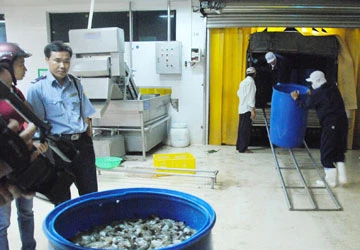 Xử lý tôm tạp chất ở Cà Mau: Bất thường! ảnh 1