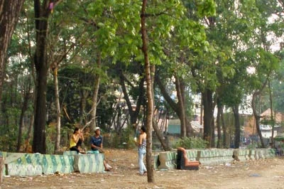 Con nghiện “tụ” ở công viên văn hóa ảnh 1