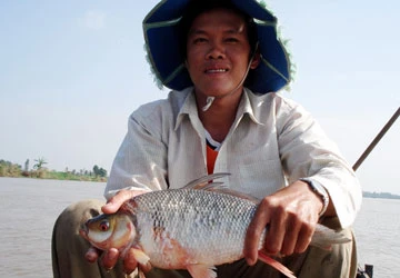 Cá quý đi vào huyền thoại ảnh 4