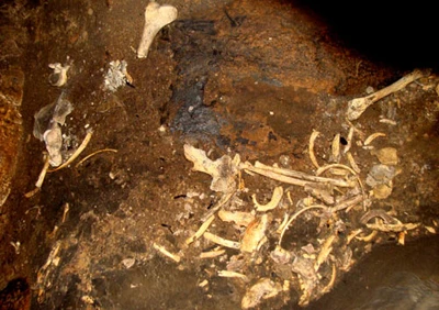 Động xương người: Những câu hỏi chưa có lời giải đáp ảnh 6