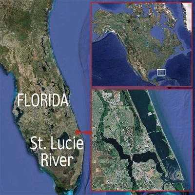 Chàng sinh viên câu được cá sấu khổng lồ ảnh 5