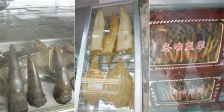 Săn hàng “đệ nhất dưỡng dương” ảnh 2