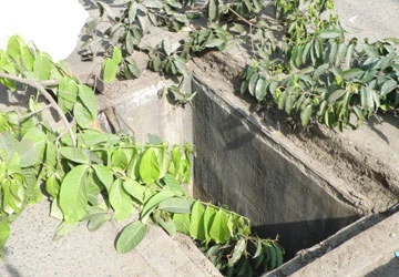 Thông tin từ bạn đọc ảnh 1 Thông tin từ bạn đọc ảnh 1