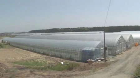 Đường phố Nhật trước và sau thảm họa qua Google Street View ảnh 5