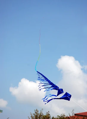 Con diều kỷ lục hiện đã dài 666m với 200 con diều rô nhỏ 5 màu. Con diều kỷ lục hiện đã dài 666m với 200 con diều rô nhỏ 5 màu.