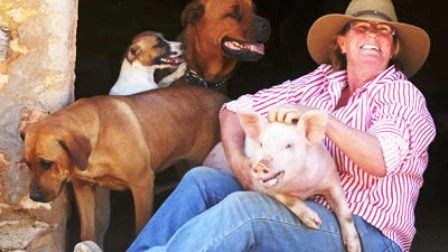 Chú lợn có biểu hiện giống chó ảnh 1