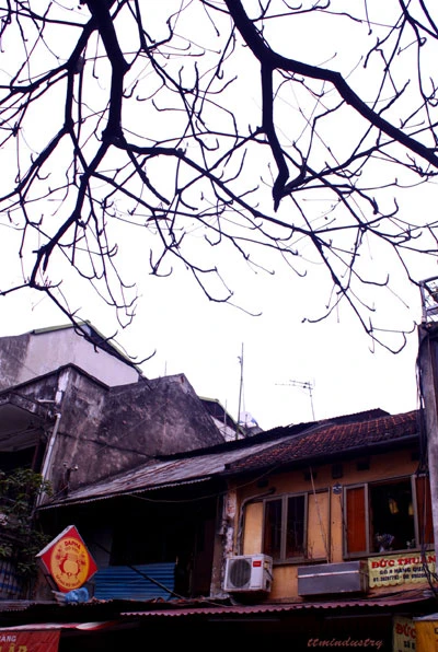 Phố cổ Hà Nội: Ứng xử thế nào cho phải?- Bài 1: Giá trị và đối diện thực tế ảnh 2