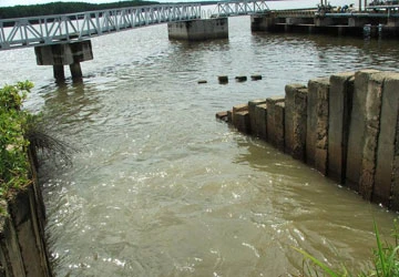 Viện Tài nguyên và Môi trường: Sẽ làm cho Vedan tâm phục, khẩu phục! ảnh 1