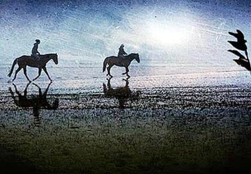 Giải mã bí ẩn của những giấc mơ ảnh 14