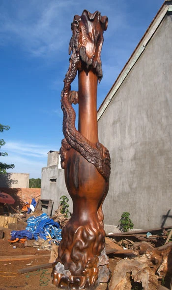 Cây trầm hương 160 năm tuổi mừng đại lễ ảnh 2