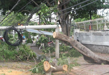 Mệt nhoài khắc phục hậu quả bão ảnh 2