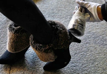 Lại động đất ở Nhật ảnh 1