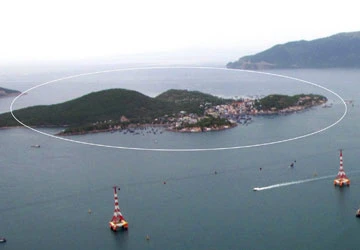 Nuôi muỗi để... diệt muỗi ảnh 1