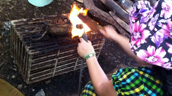 Tận diệt thú rừng ảnh 2