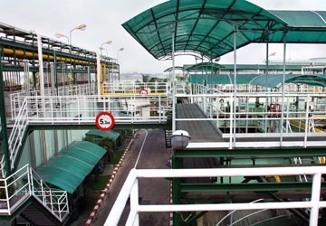 Ajinomoto - phát triển dựa trên môi trường bền vững ảnh 1