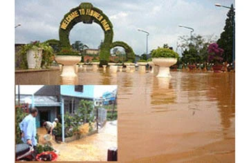 Đà Lạt: Ngập lụt trong trận mưa kỷ lục ảnh 1