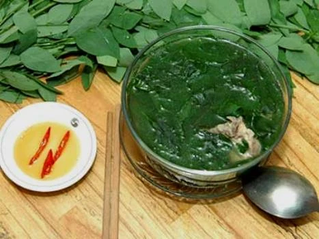 Công dụng trị bệnh của rau ngót ảnh 1