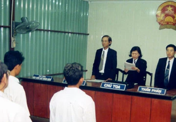 Áp dụng án lệ, sửa án đụng trần? ảnh 1