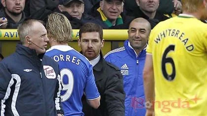 Fernando Torres mất vị trí chính thức ở Chelsea ảnh 1