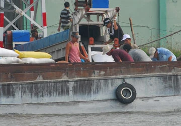 Dồn dập hợp đồng xuất khẩu gạo ảnh 1