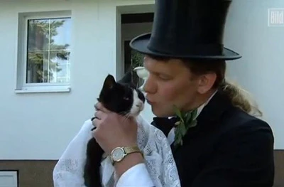 Những chuyện lý thú về mèo ảnh 1