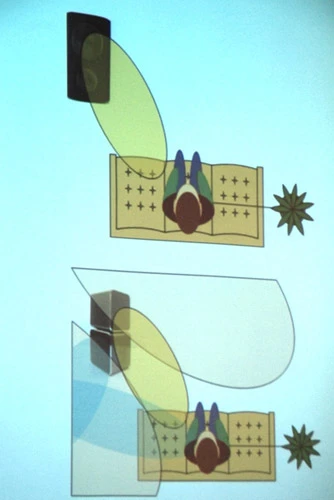 Ngắm những mẫu loa Philips 2010 mới ảnh 4 Ngắm những mẫu loa Philips 2010 mới ảnh 4
