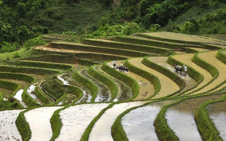 Ngắm Sapa trong vụ cấy mới ảnh 10