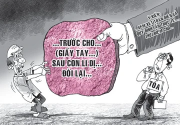 Đòi lại đất cho con, xử sao? ảnh 1