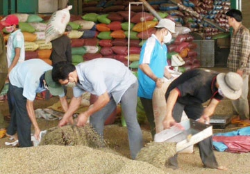 Thu phí xuất khẩu cà phê: Doanh nghiệp chưa thông ảnh 1 Thu phí xuất khẩu cà phê: Doanh nghiệp chưa thông ảnh 1