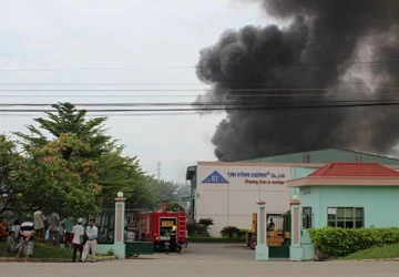 Cháy lớn ở hai công ty ảnh 1 Cháy lớn ở hai công ty ảnh 1