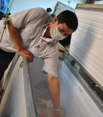 Heo lậu từ lò ra chợ ảnh 2