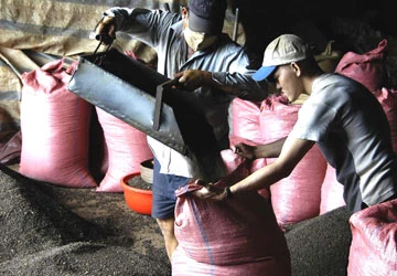 Cấm DN FDI thu mua nông sản: Chắc gì nông dân lợi! ảnh 1