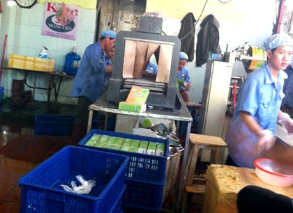 Kem Tràng Tiền nhái dính ruồi ảnh 2