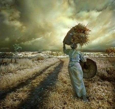 Độ tương phản màu đẹp lạ qua ảnh hồng ngoại ảnh 14