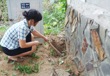 Bị cúp điện, nước do lỗi… ngân hàng ảnh 1