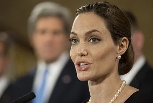 Angelina Jolie xuất hiện tại hội nghị G8 ảnh 1