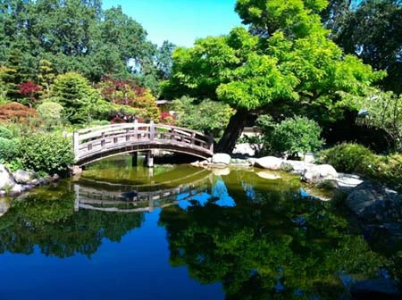 Những bức ảnh chụp bằng iPhone 4 ảnh 7 Những bức ảnh chụp bằng iPhone 4 ảnh 7