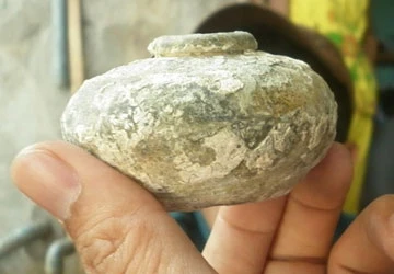 Trục vớt cổ vật, coi chừng bị tội ảnh 2