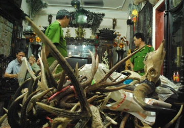 Phát hiện công nghệ làm mật heo thành mật gấu ảnh 1 Phát hiện công nghệ làm mật heo thành mật gấu ảnh 1