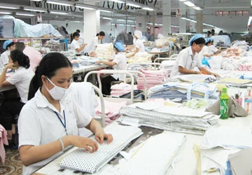 Thắng lớn ở thị trường ngoại nhờ “ISO” môi trường ảnh 1