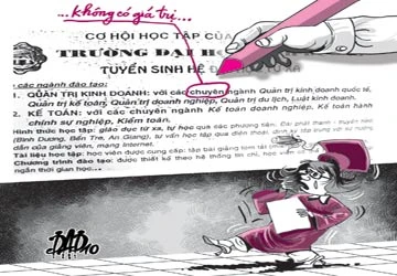 Học kế toán, nhận bằng... quản trị kinh doanh! ảnh 1