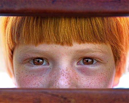 Tạo khung (frame) cho ảnh.