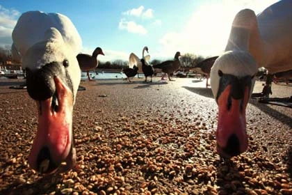 Những bức ảnh chụp góc thấp ấn tượng ảnh 13